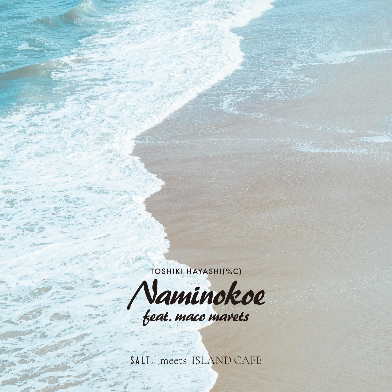 Naminokoe (feat. maco marets)