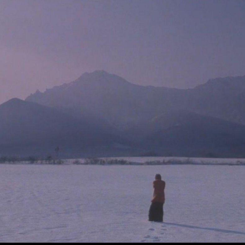 ----长岛冰茶----