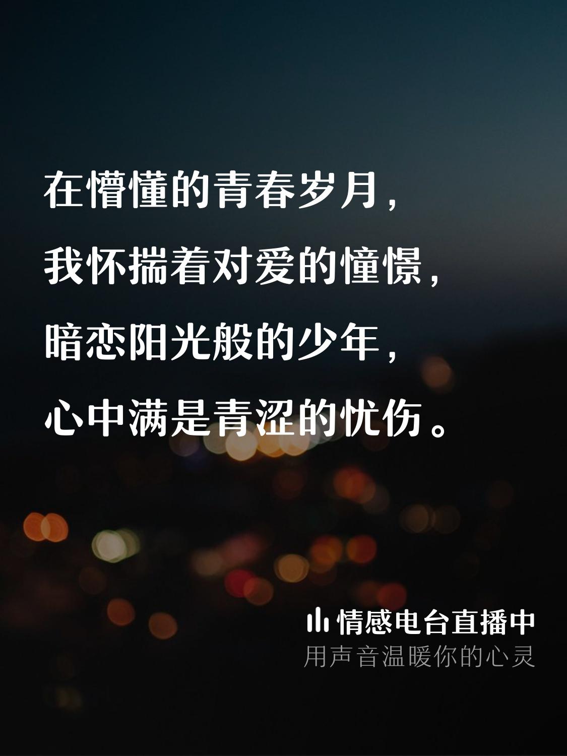 铅坠之翼封面