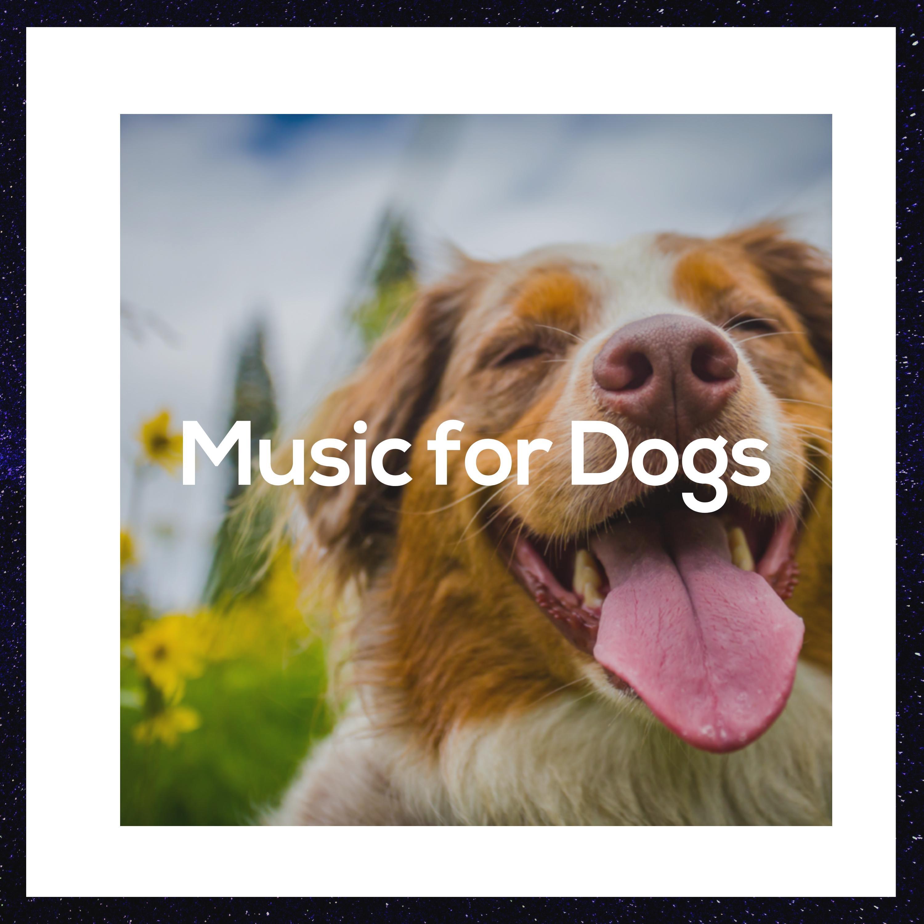 Music for Dogs