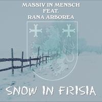 Snow in Frisia