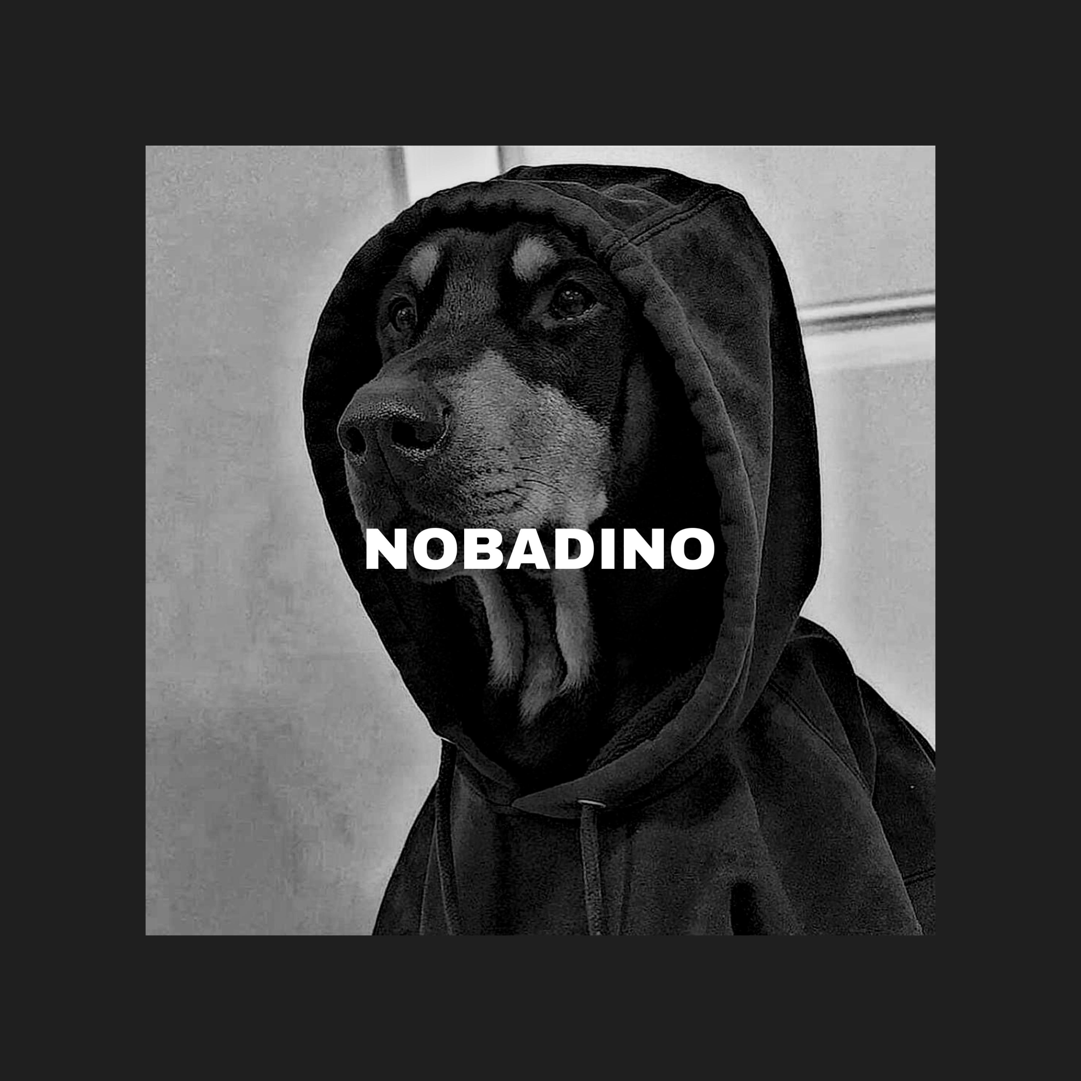 【Free】“狼犬丹尼” boombap type beat