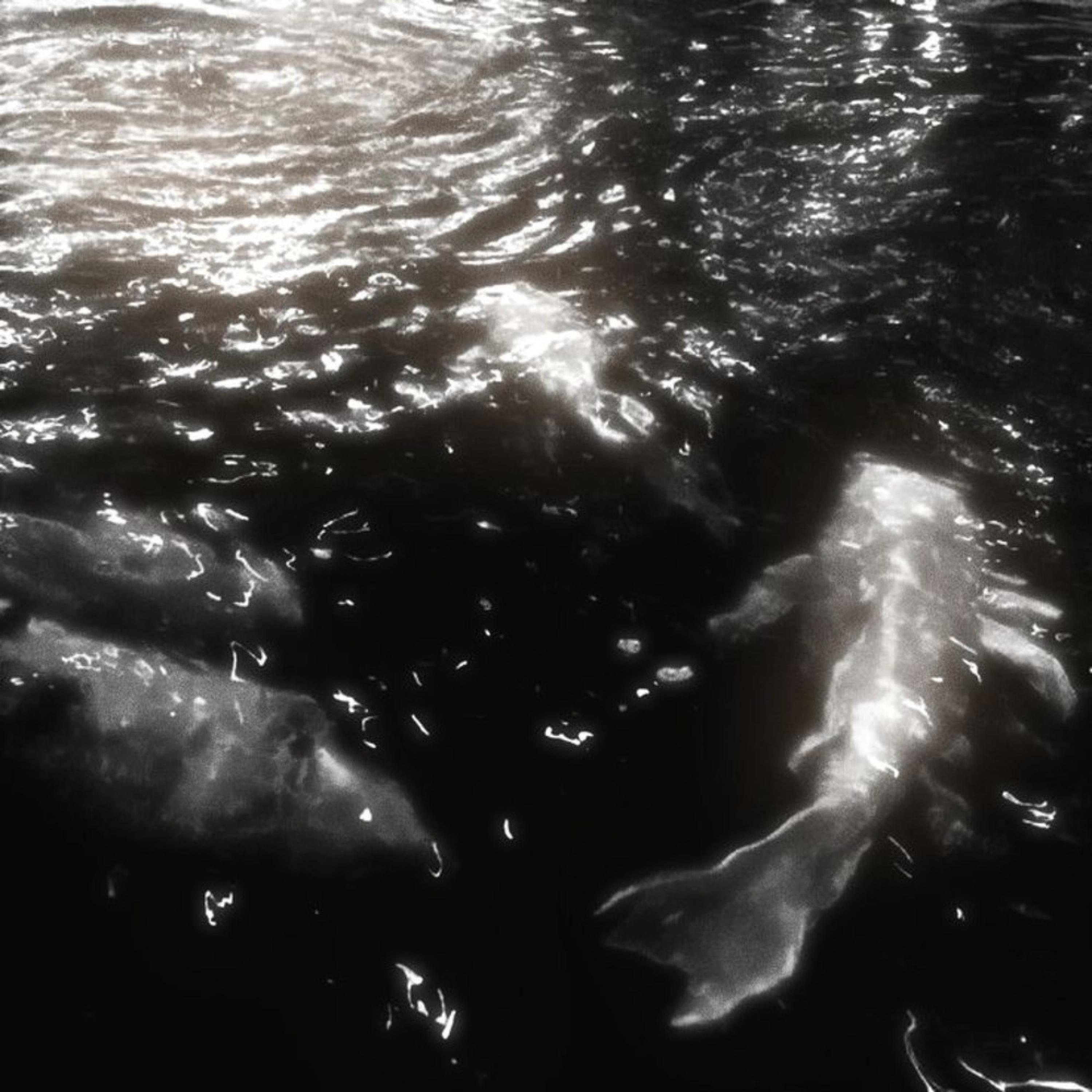 other side (feat. sholoh)