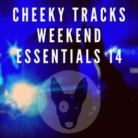 Cheeky Tracks Weekend Essentials 14