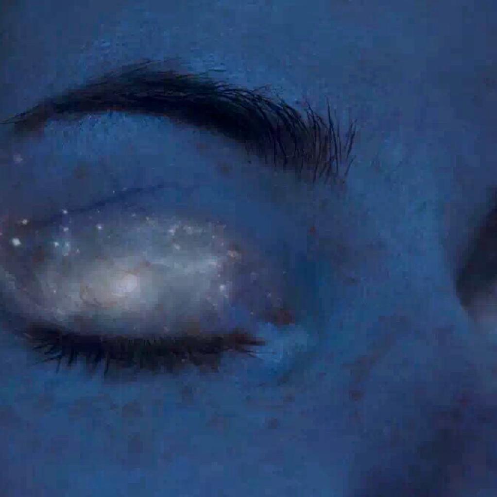 海鸟和鱼相爱ii