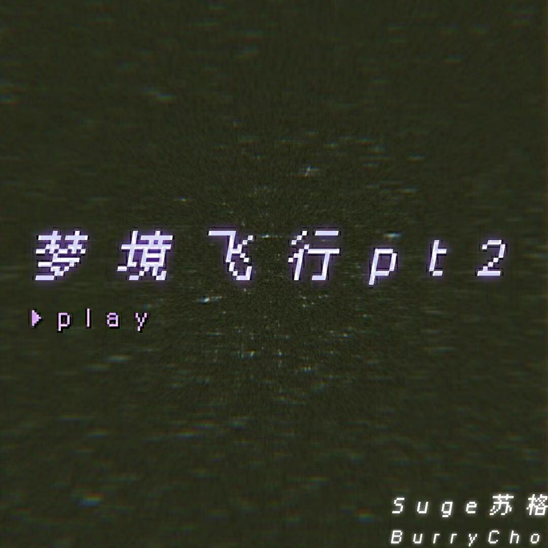 梦境飞行 pt2