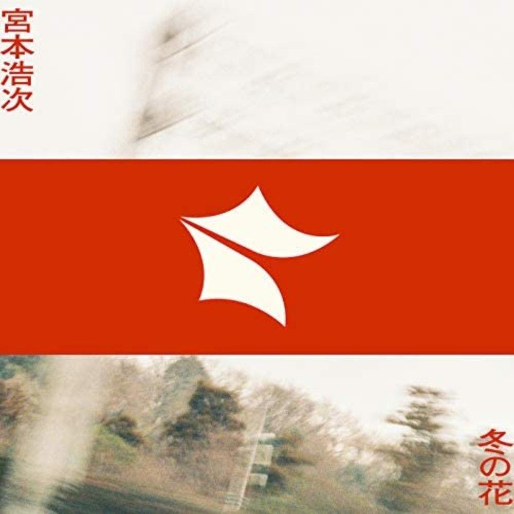 冬の花（冬之花）