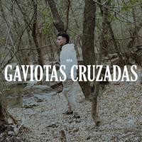 Gaviotas Cruzadas