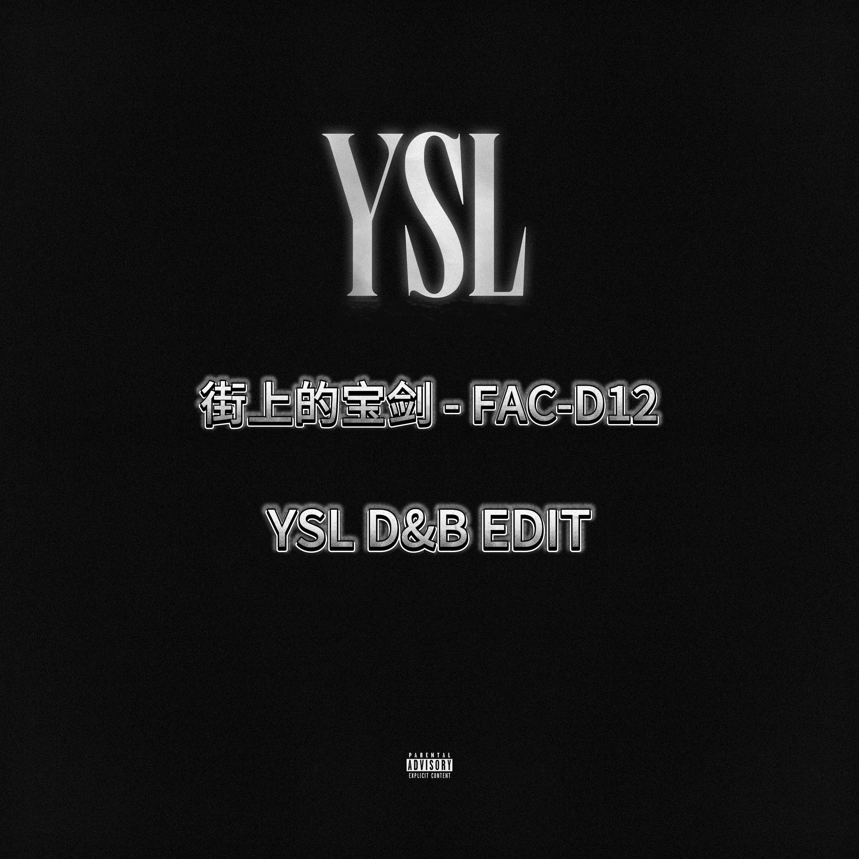 FAC-D12-街上的宝剑（YSL remix）封面