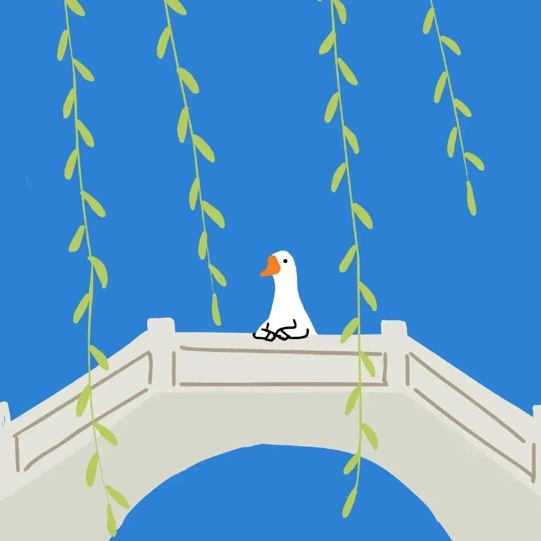 醉花封面