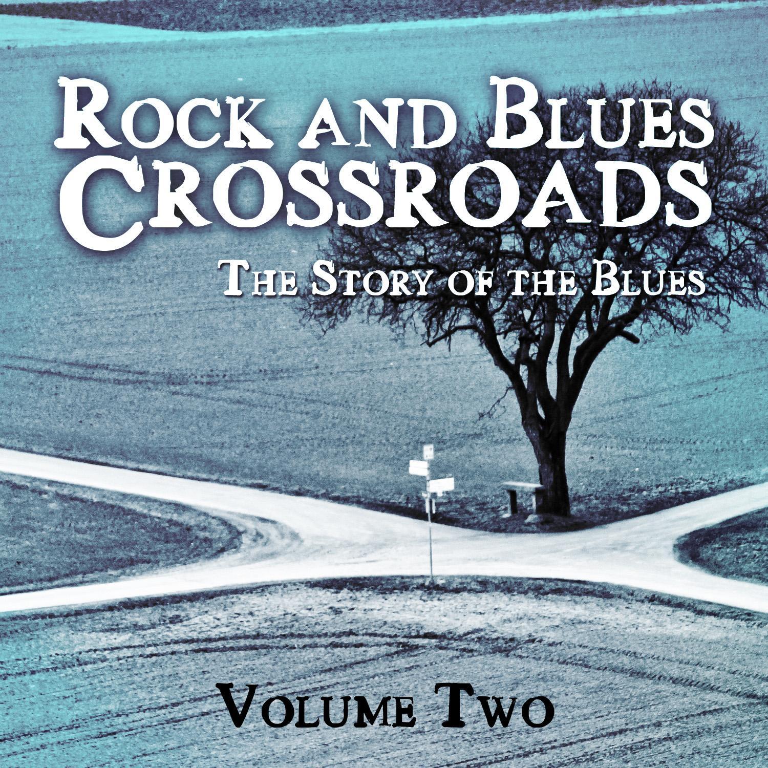rock and blues crossroads - the story of the blues, vol. 2