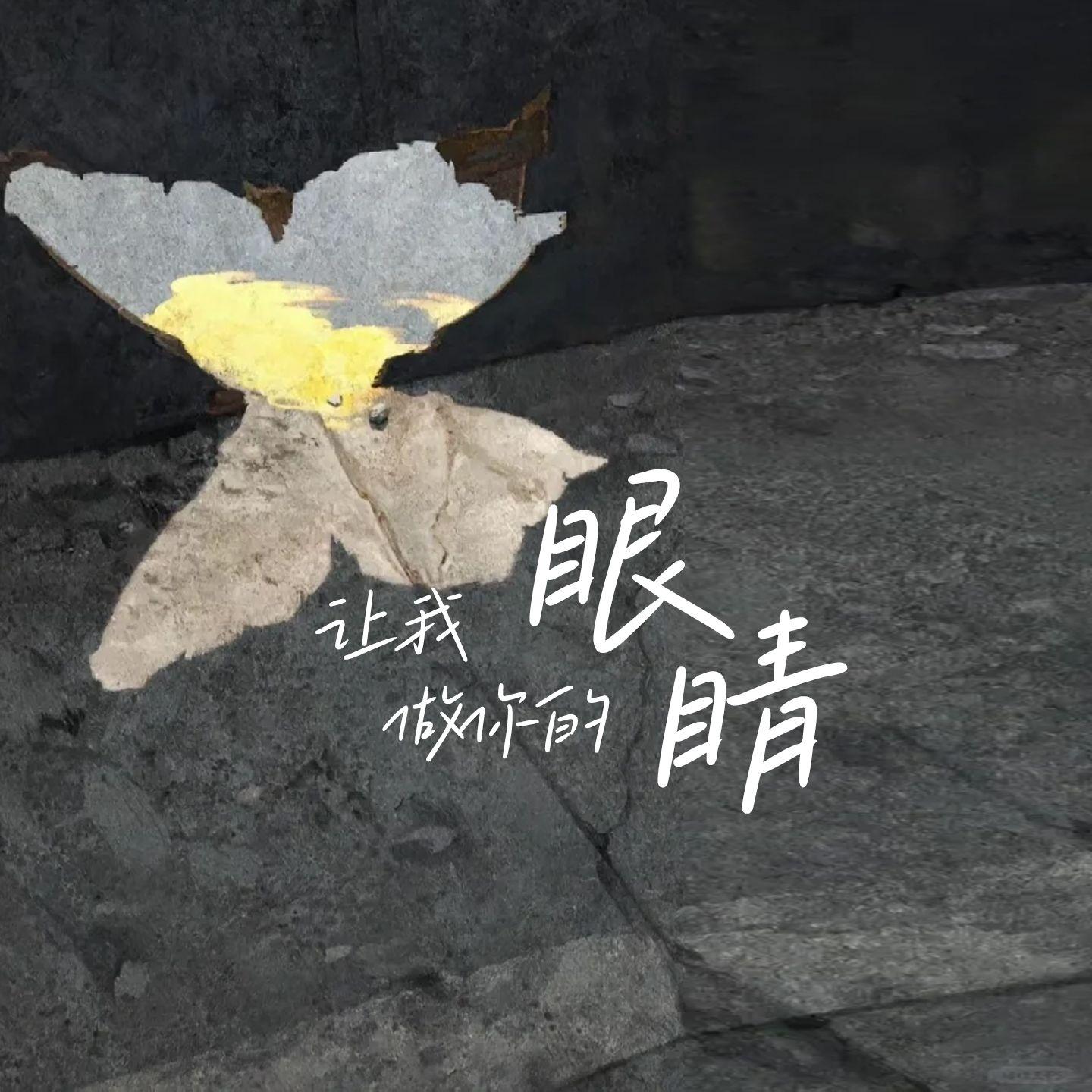 让我做你的眼睛封面