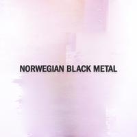 Norwegian Black Metal - Single