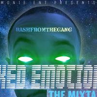 BashFromTheGang