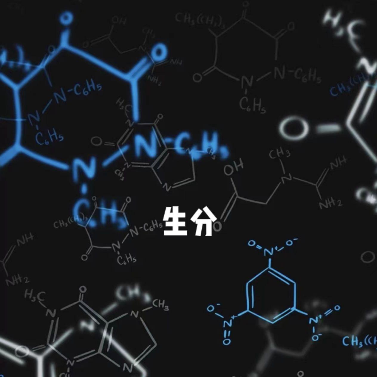 生分封面
