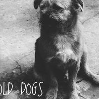 Old Dogs(老狗乐队)资料,Old Dogs(老狗乐队)最新歌曲,Old Dogs(老狗乐队)MV视频,Old Dogs(老狗乐队)音乐专辑,Old Dogs(老狗乐队)好听的歌