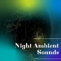 Night Ambient Sounds