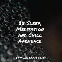 35 Sleep, Meditation and Chill Ambience