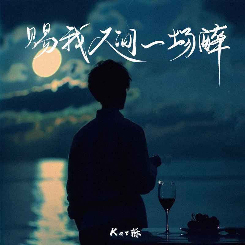 赐我人间一场醉封面