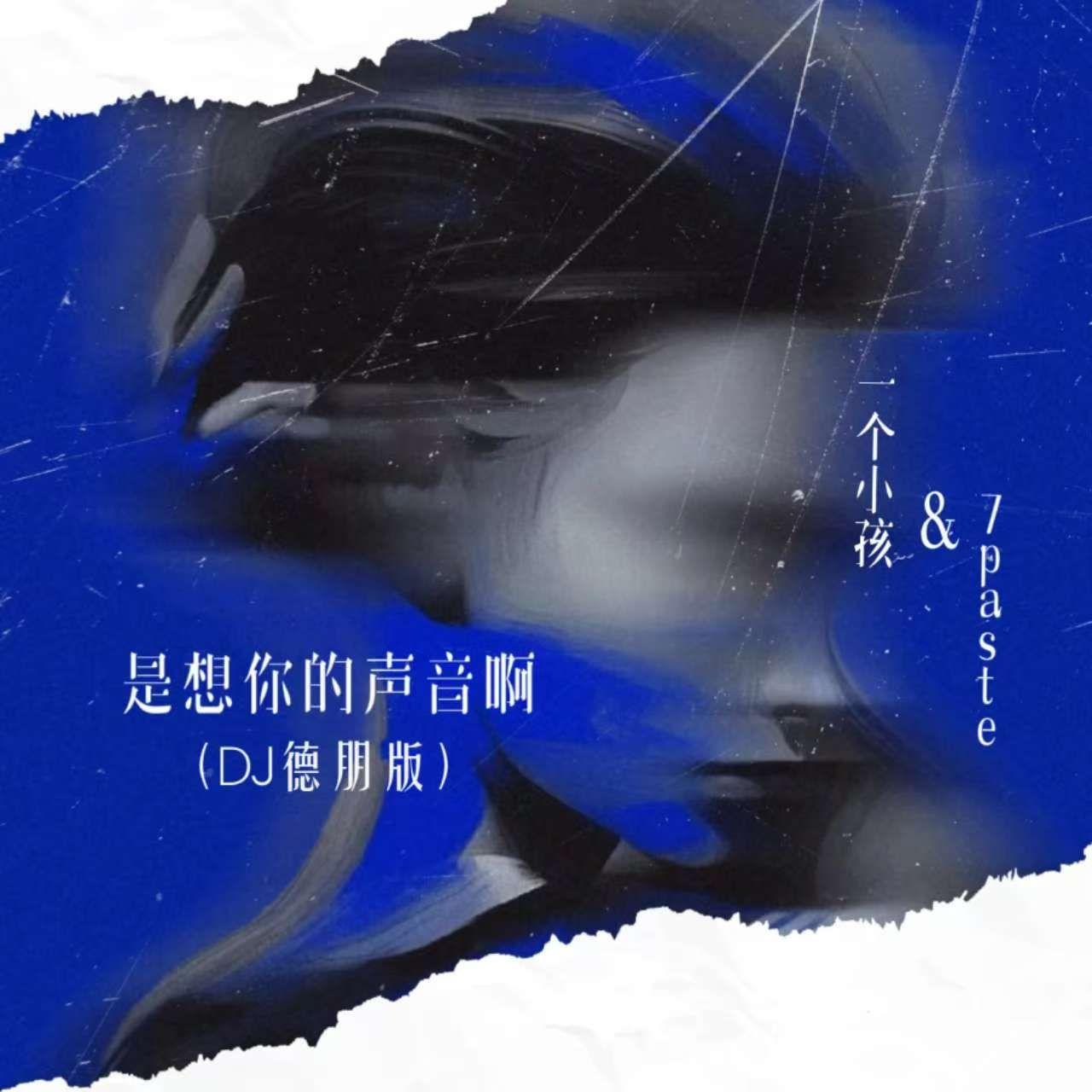 是想你的声音啊 (DJ版)封面