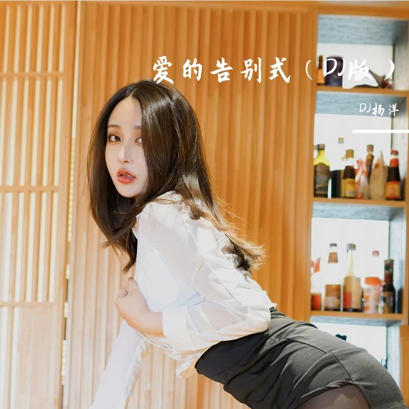 爱的告别式（DJ版）封面