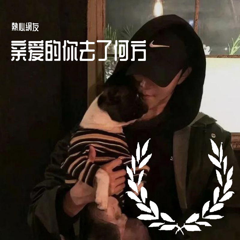 亲爱的你去了何方封面