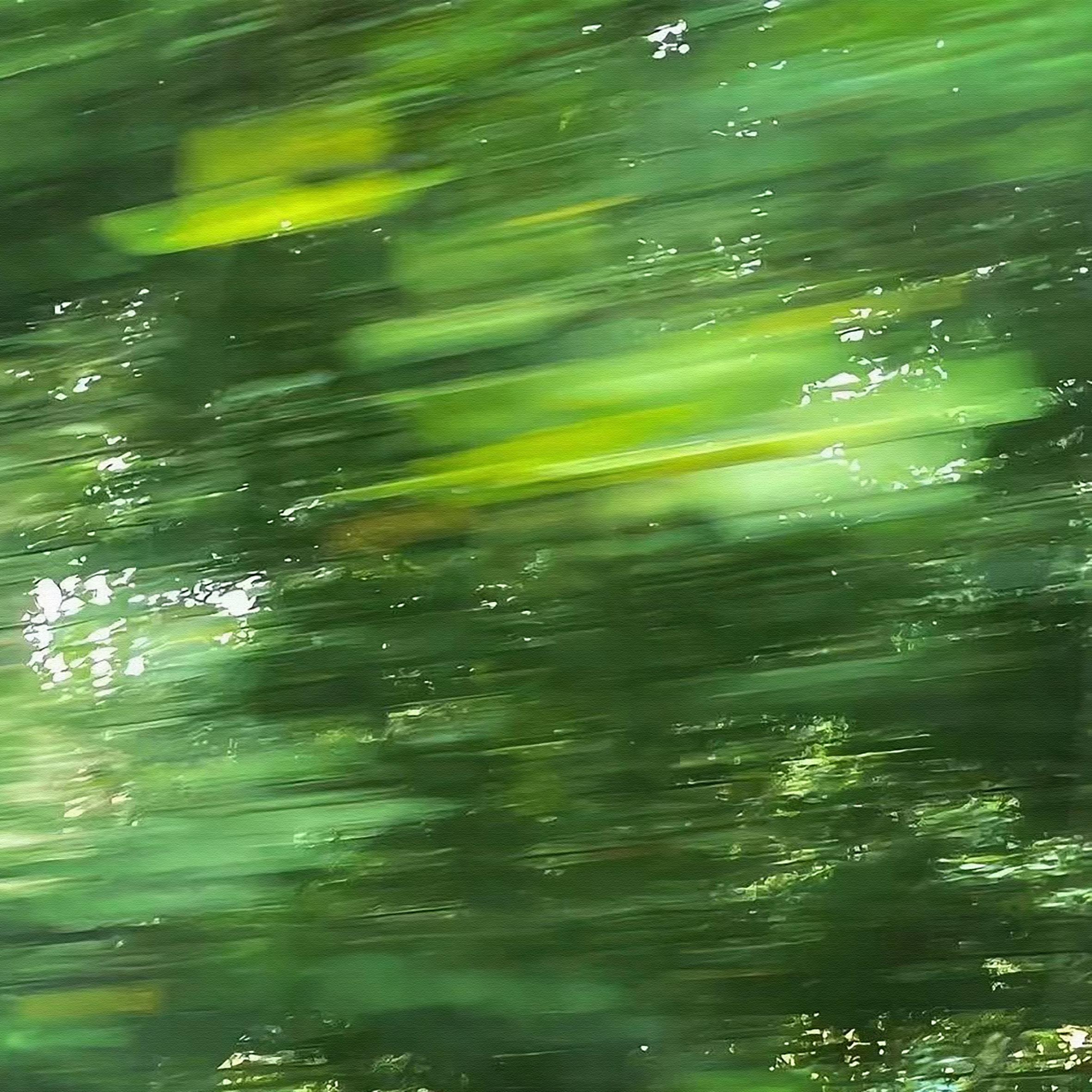 莫言 (竖琴放松音乐)