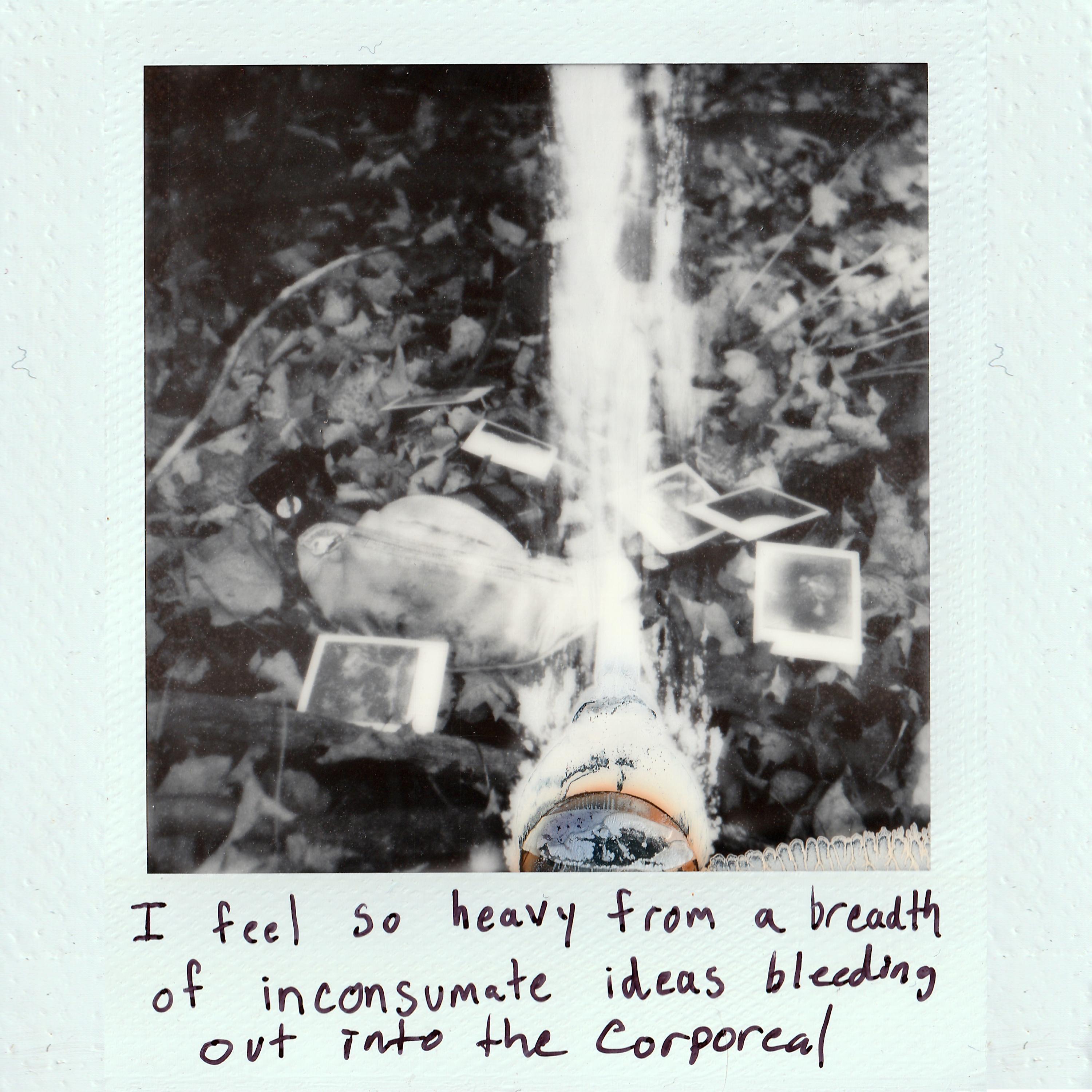 This Glass Prison Grows Foggy From Exasperation