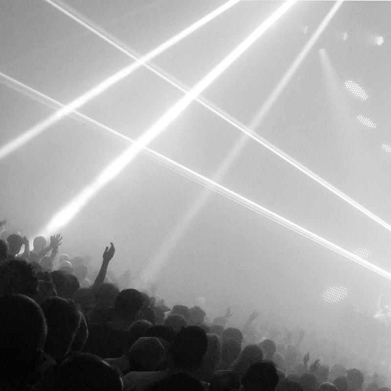 Kittens (r31_for2026)