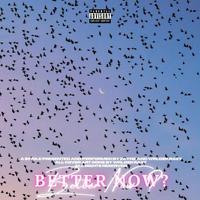 Better now? (feat. Wrld2krazy)