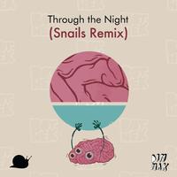 Through The Night (Snails Remix)