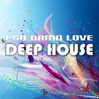 I so Damn Love Deep House