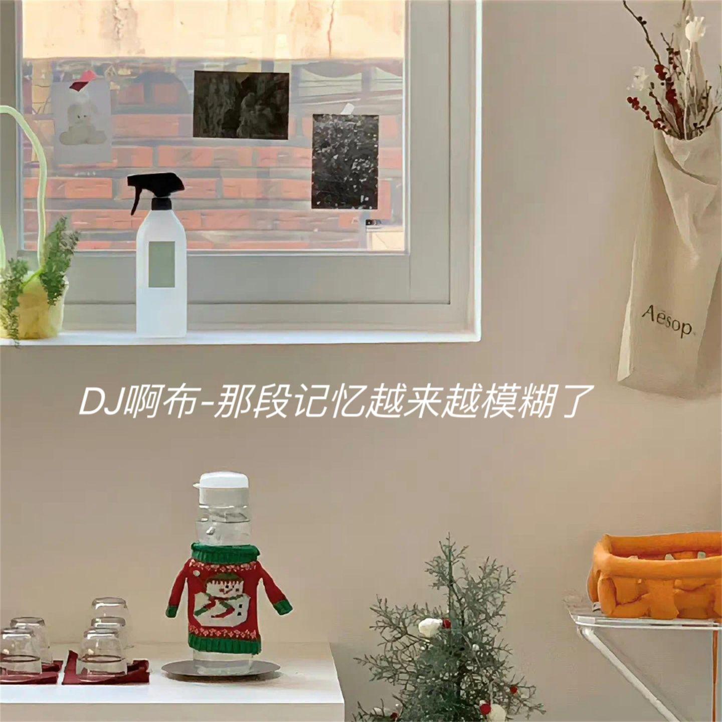 我到了那个人的家乡 (Dj版)封面