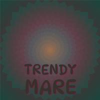 Trendy Mare