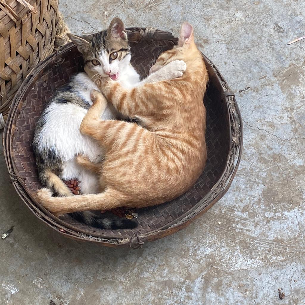 在当时的时间里都尽力了