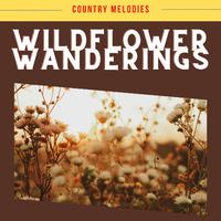 Wildflower Wanderings