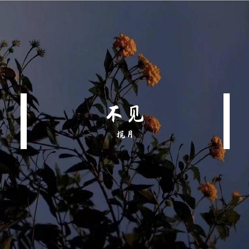 阿黄封面