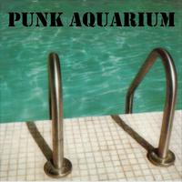 Punk Aquarium / Unistiti