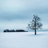 12 Hour: Frozen Landscapes