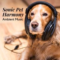 Sonic Pet Harmony: Ambient Music