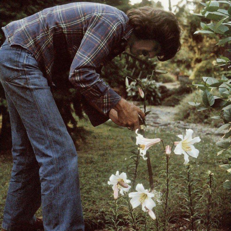 （封面 George Harrison ）