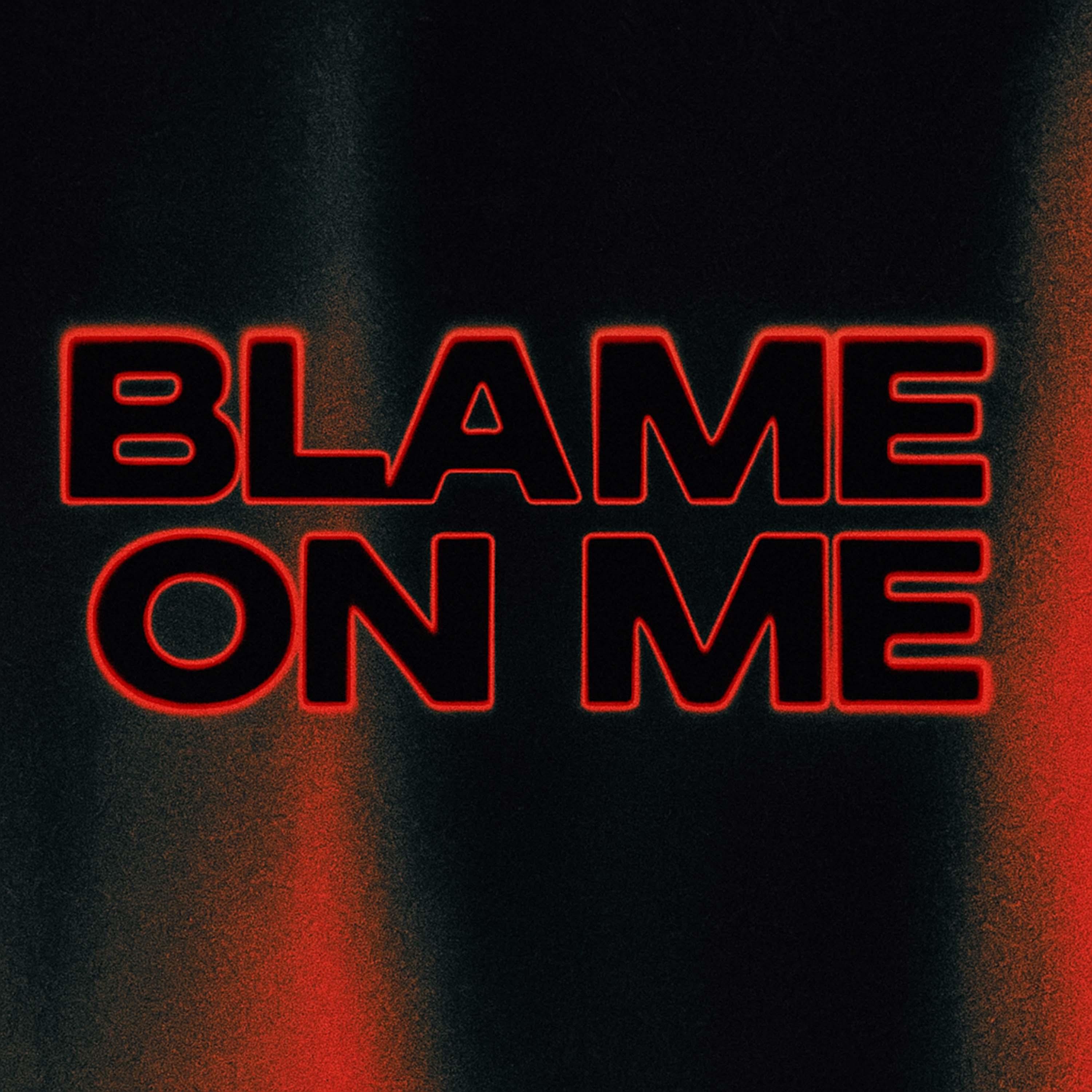 Blame On Me