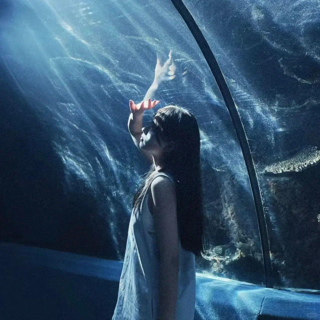 DoDoDo甜妹（手势舞）