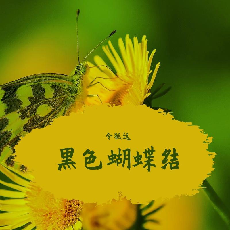 黑色蝴蝶结 - 令狐远封面