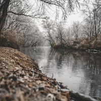 Rain Music for Meditation and Concentration