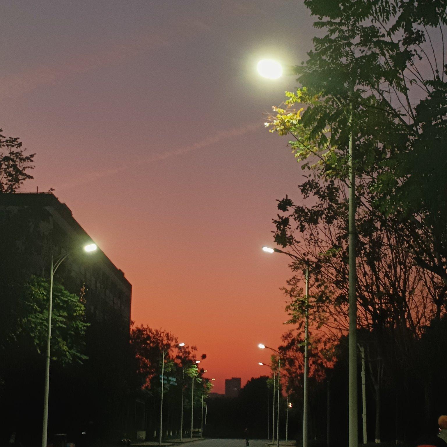 恋人炒菜歌单/DOI/浪漫/氛围感