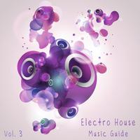 Electro House Music Guide, Vol. 3