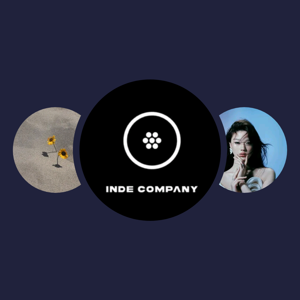 你的兴趣歌单|INDEcompany、Vinz-T、单依纯