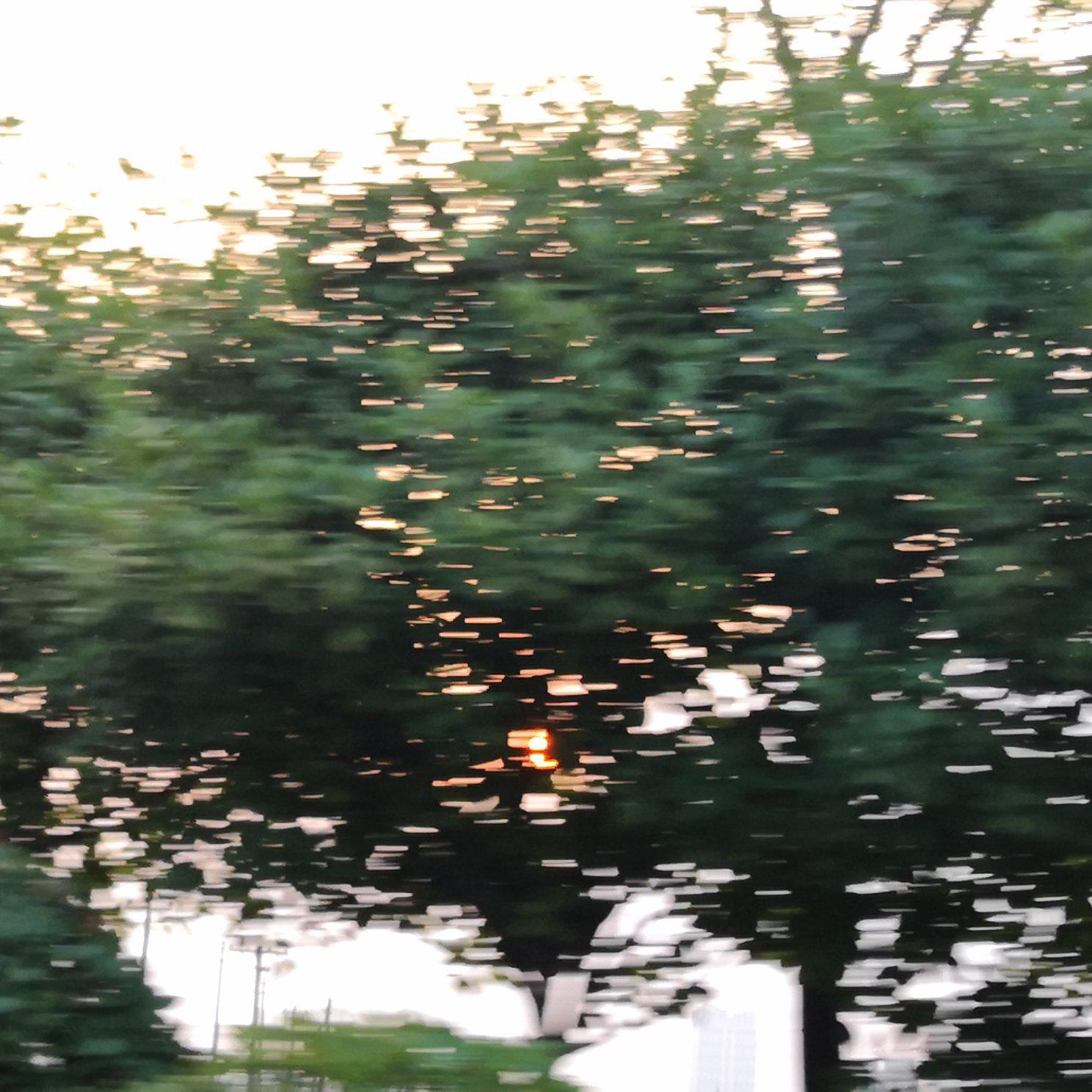 自爱封面