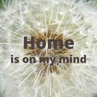 Home is on my Mind